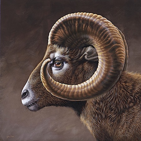 454x454 Saverio Polloni 032011 - Aries Painting