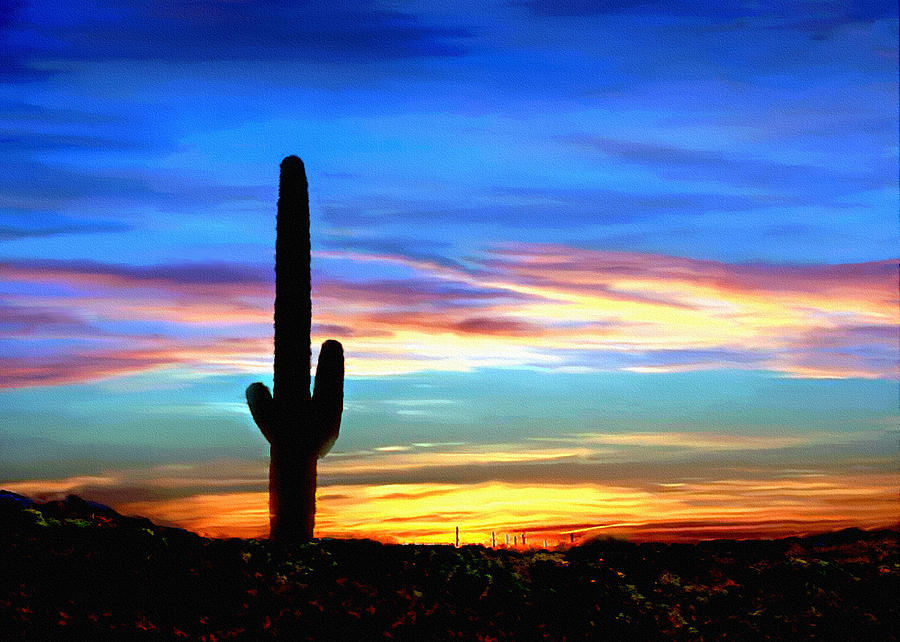 900x642 Arizona Sunset Saguaro National Park Painting By Bob And Nadine - Arizona Painting