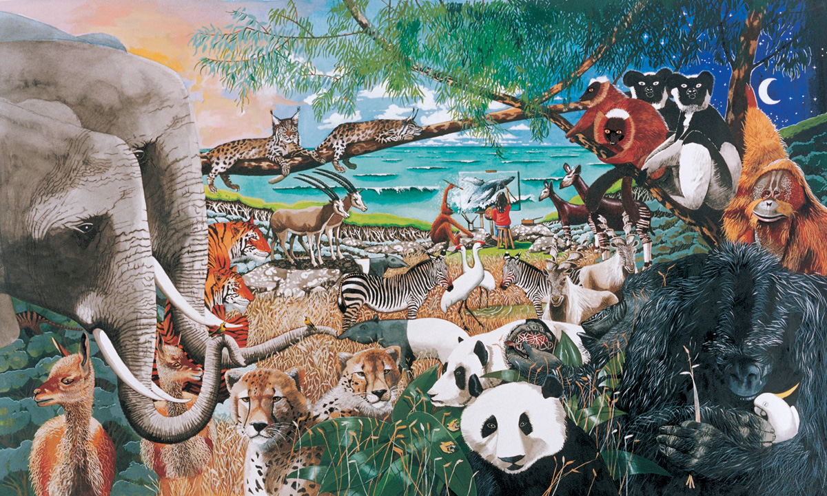 1200x721 Felicity Marshall Writerillustrator Of Children's Books - Ark Painting Animals