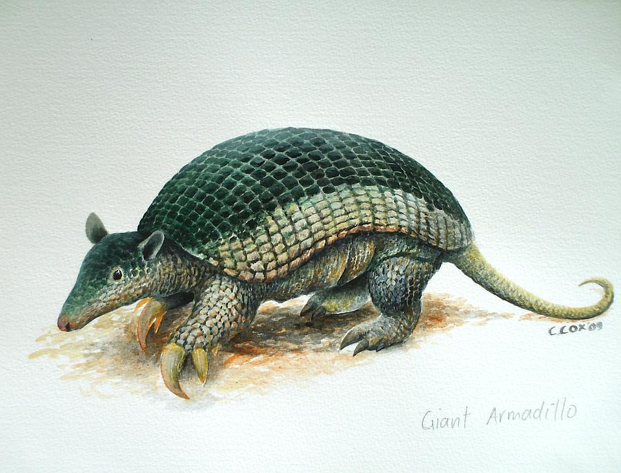 900x685 Giant Armadillo Painting By Christopher Cox - Armadillo Painting