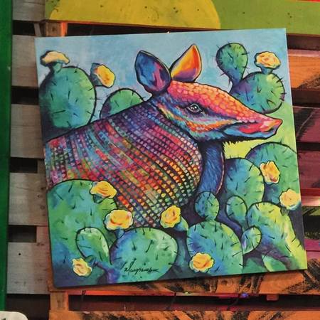 450x450 Karen Musgraves Armadillo Canvas Giclee - Armadillo Painting