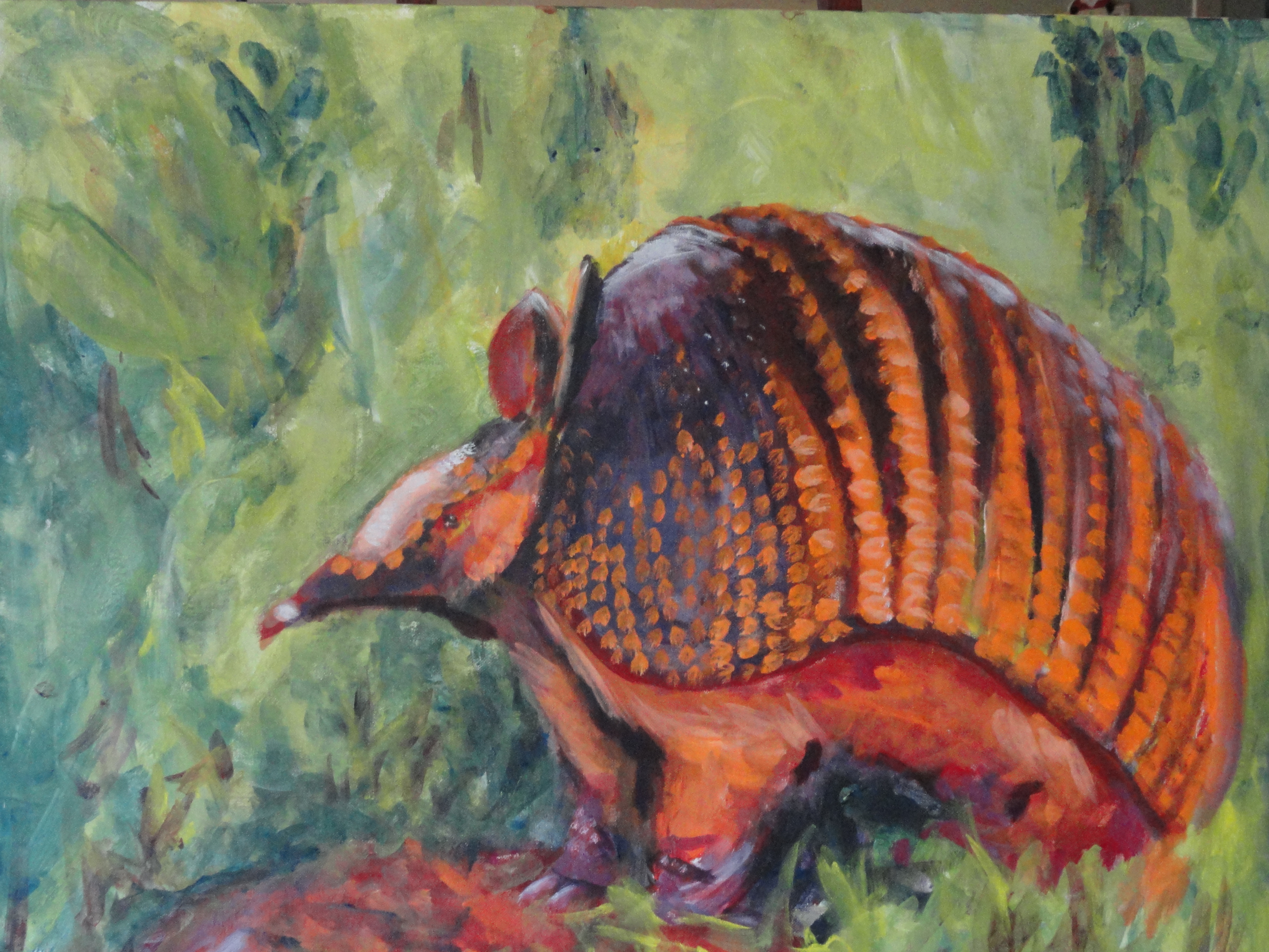 4168x3126 Orange Armadillo! Heed Not Steve - Armadillo Painting