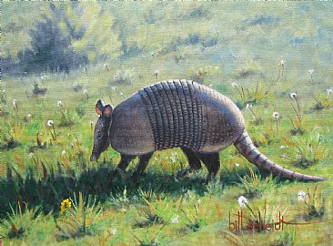 366x270 Texas Armadillo - Armadillo Painting