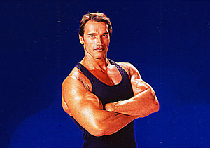 300x211 Arnold Schwarzenegger Paintings Fine Art America - Arnold Schwarzenegger Painting