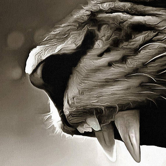 570x570 Wild Lioness Canvas, Large Art Painting, Black And White Lion - Art Painting Black And White