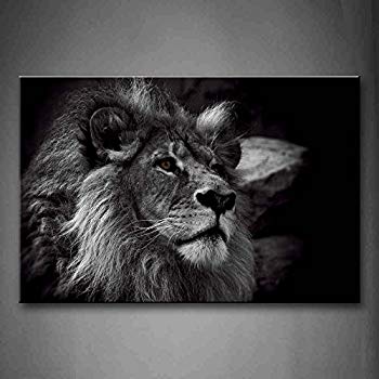 350x350 Black And White Gray Lion Head Portrait Wall Art - Art Painting Black And White