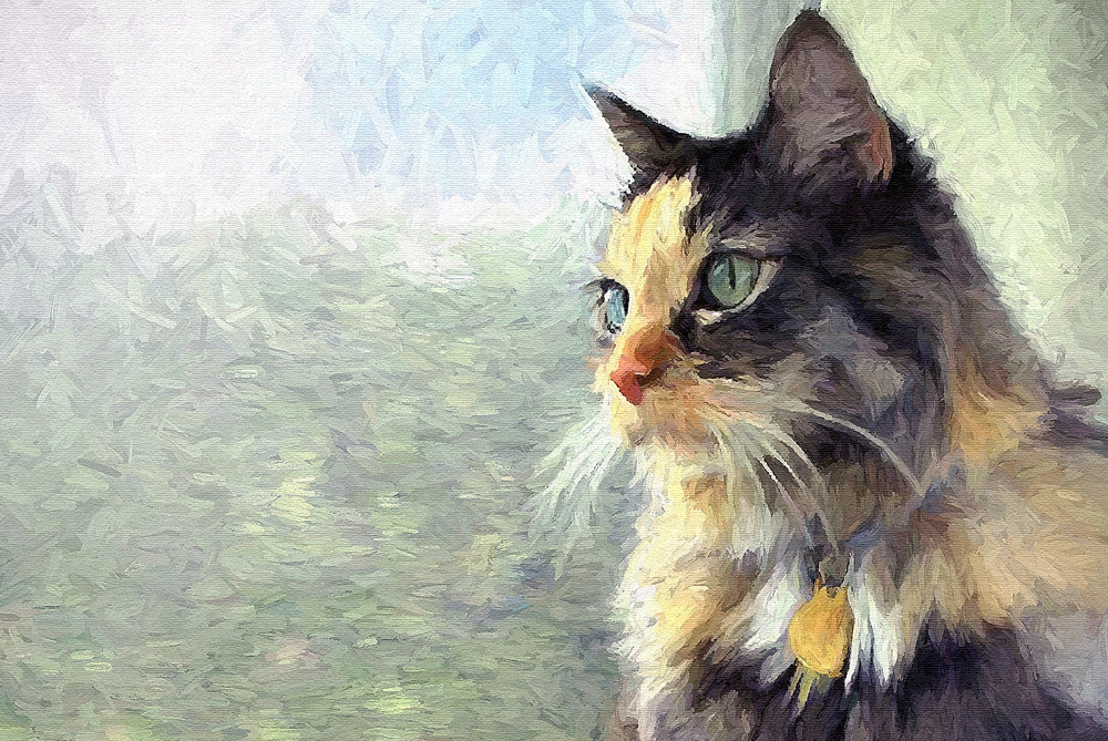 1000x669 Pictures Artists That Paint Cats, - Artists Who Painting Cats