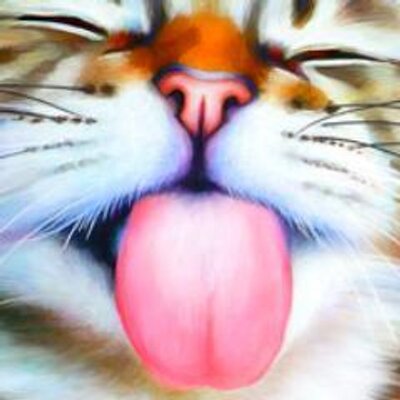 400x400 The Painted Cat Art (@paintedcatart) Twitter - Artists Who Painting Cats