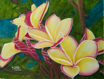 360x273 Hawaiian Plumeria Flowers Painting Hawaii Plumeria Flowers Art - Artists Who Painting Flowers