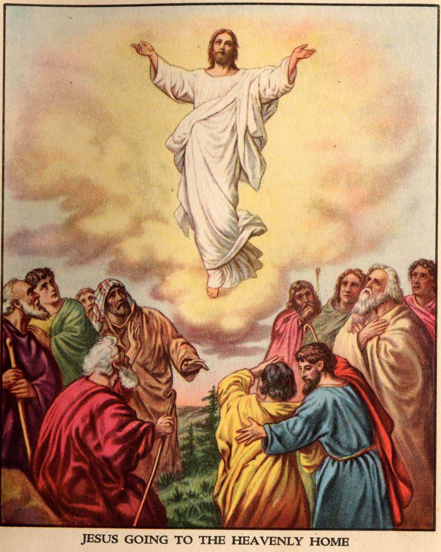 1528x1910 The Ascension Of The Lord Cardinal George Pell's Homily 12 May - Ascension Of Christ Painting
