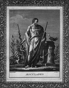 238x300 Asclepius Art Fine Art America - Asclepius Painting