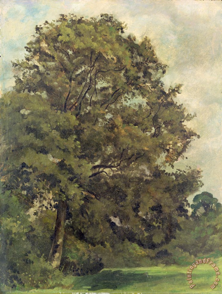 726x960 Lionel Constable Study Of An Ash Tree Painting - Ash Painting