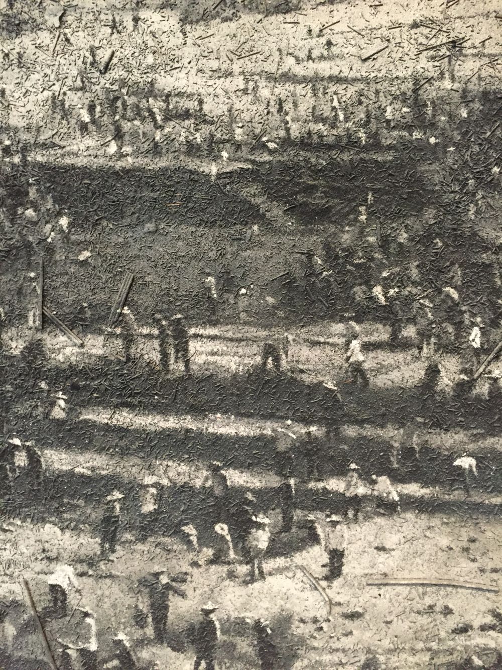 1000x1334 Zhang Huan. Ash Painting Paintings Ash And Paintings - Ash Painting