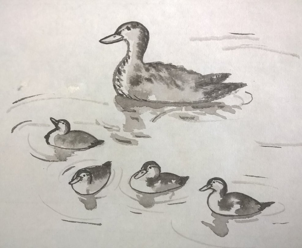 987x810 Duck And Her Ducklings - Asian Brush Painting