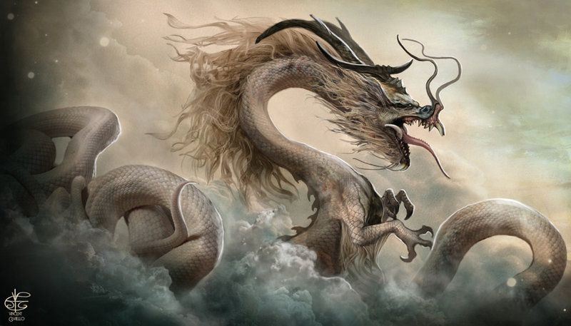 800x457 Chinese Dragon By Vincent Covielloart - Asian Dragon Painting