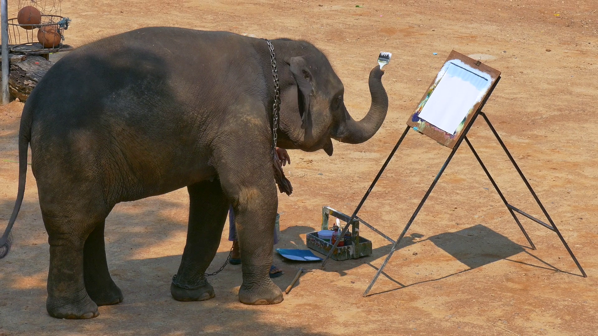 1920x1080 Elephant Painting In Maesa Elephant Camp , Chiang Mai, Thailand - Asian Elephant Painting