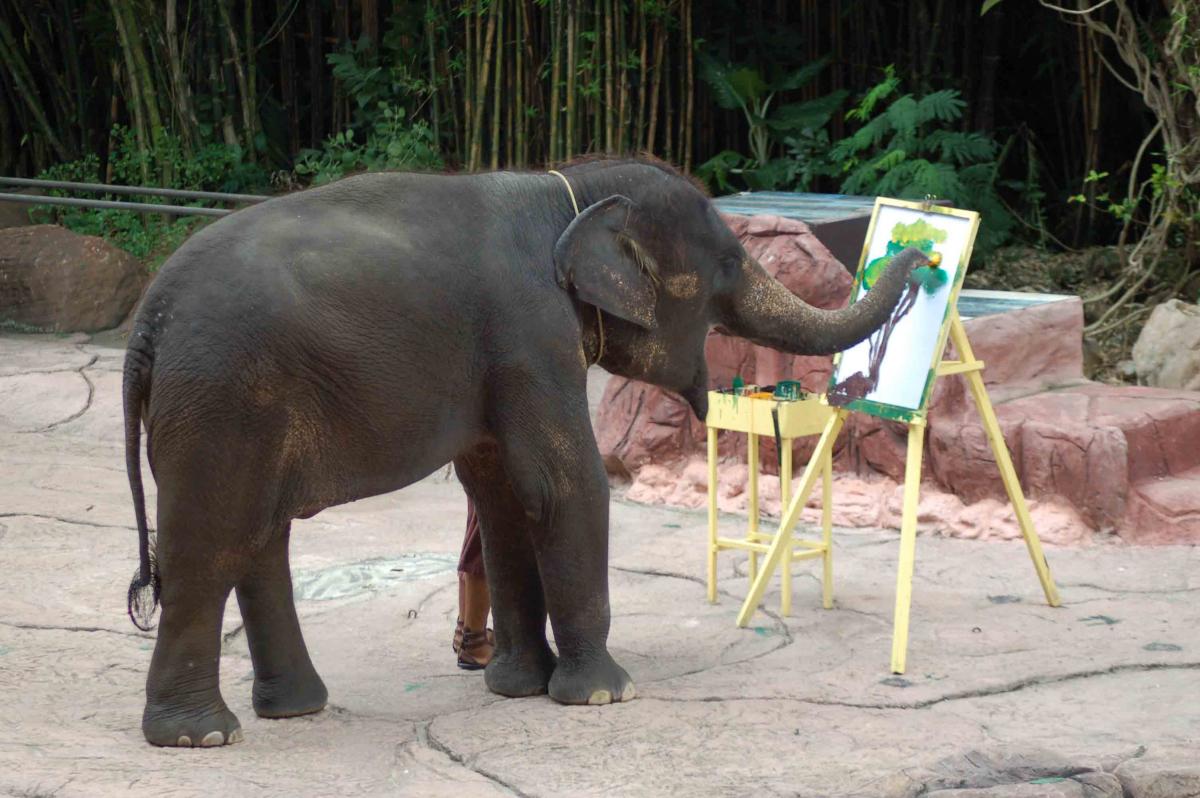 1200x798 Photos Asian Elephants! Awe Inspiring, Adorable, And Endangered - Asian Elephant Painting