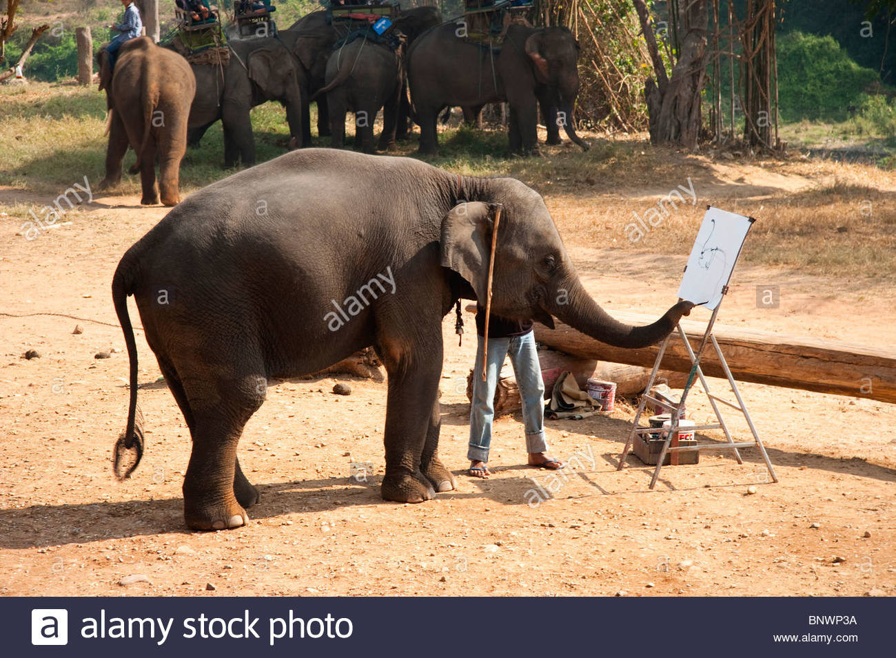 1300x956 Thai Elephant Painting Stock Photos Amp Thai Elephant Painting Stock - Asian Elephant Painting