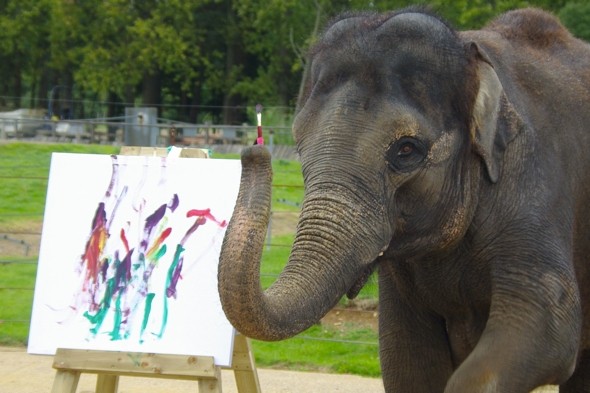 590x393 What A Trunk! Elephant Paintings To Go On Display - Asian Elephant Painting