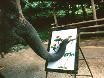 347x261 When I See An Elephant Paint The Scientist - Asian Elephant Painting