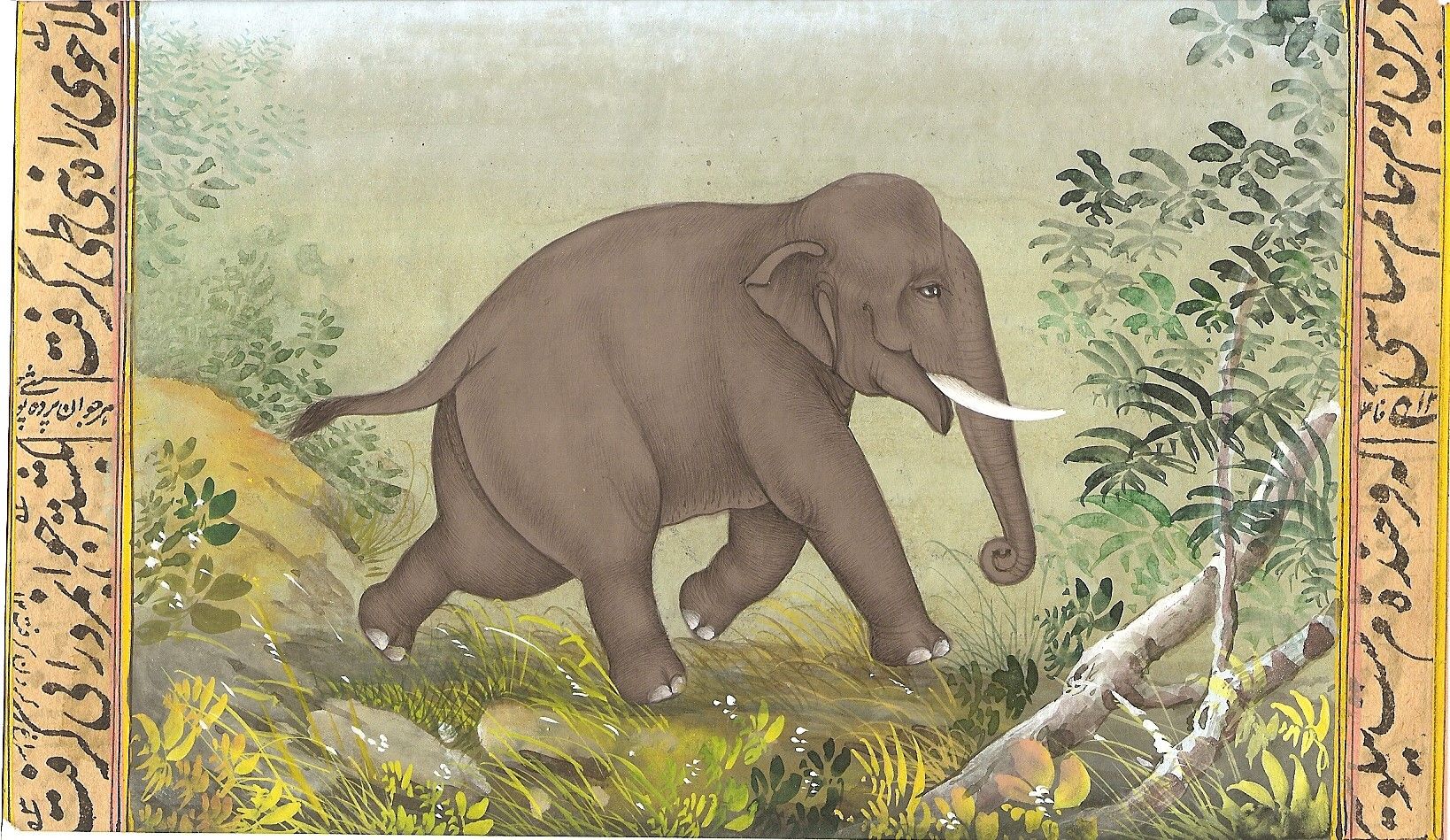 1638x949 Asian Elephant Miniature Art Handmade Animal Watercolor Wild Life - Asian Elephant Painting