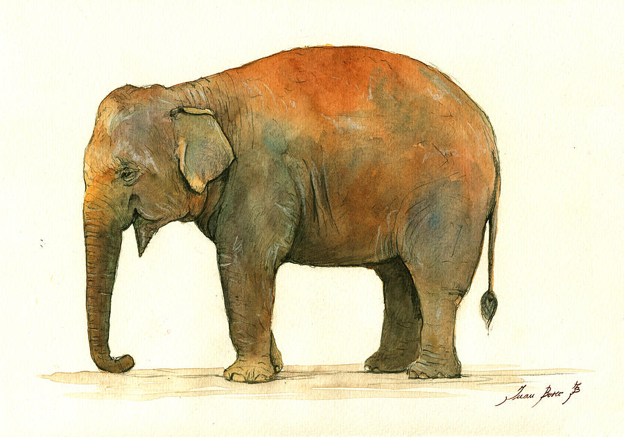 900x631 Asian Elephant Painting By Juan Bosco - Asian Elephant Painting