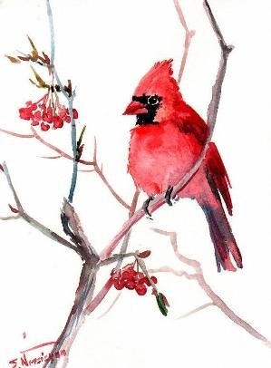 299x406 Red Caridnal Bird, Original Watercolor Painting, Asian Style Bird - Asian Style Painting