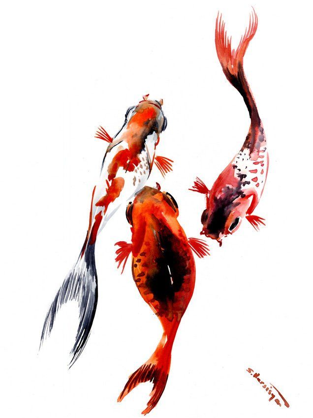 636x850 Asian Ink Painting Goldfish,koi, Original Orange Black Yellow - Asian Style Painting