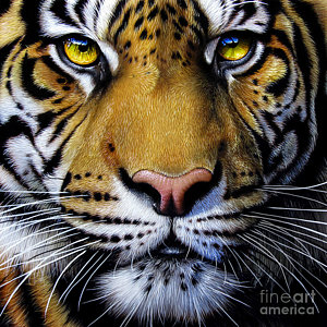 300x300 Asian Tiger Paintings Fine Art America - Asian Tiger Painting