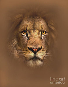 233x300 Aslan Paintings Fine Art America - Aslan Painting
