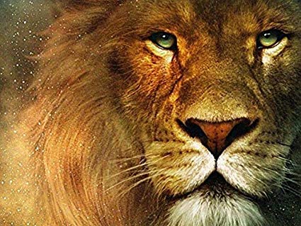 425x319 Colors Of Rainbow Rainbow Snail Canvas Prints - Aslan Painting