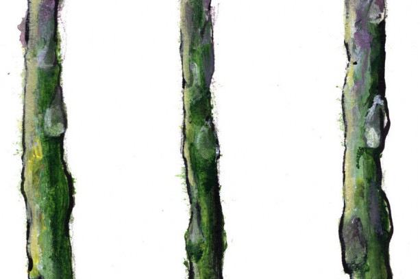 613x408 Asparagus Art Print Aftcra - Asparagus Painting