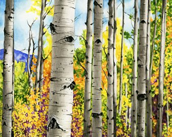 340x270 Aspen Trees Painting Etsy - Aspen Tree Painting