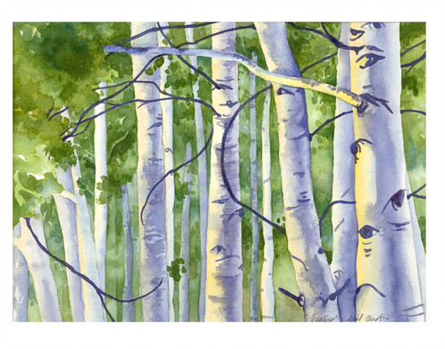 498x391 Quakies Original Aspen Tree Forest Watercolor Painting By Gail M - Aspen Tree Painting