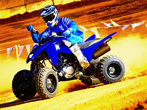 300x225 Atv Paintings Fine Art America - Atv Painting