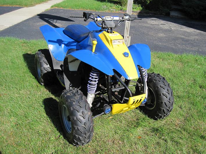 Atv Painting at Explore collection of Atv Painting