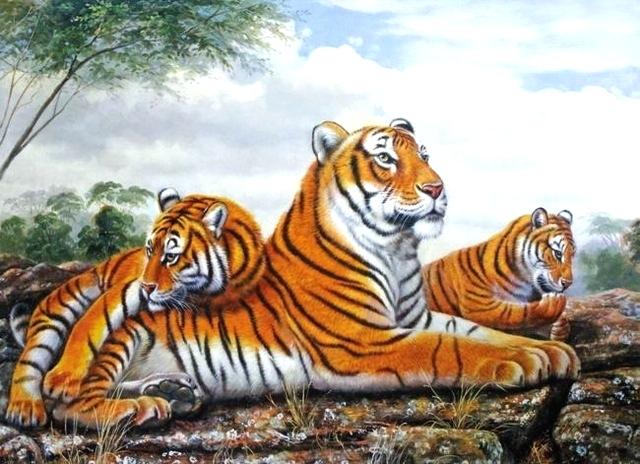 640x464 Tigers Wall Art Free Shipping Wall Art Decoration Pictures Forest - Auburn Canvas Painting