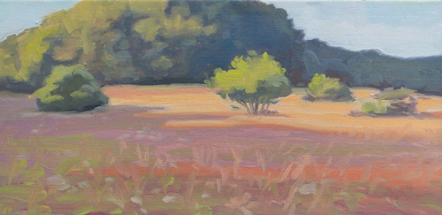 498x243 Sunset - August Painting