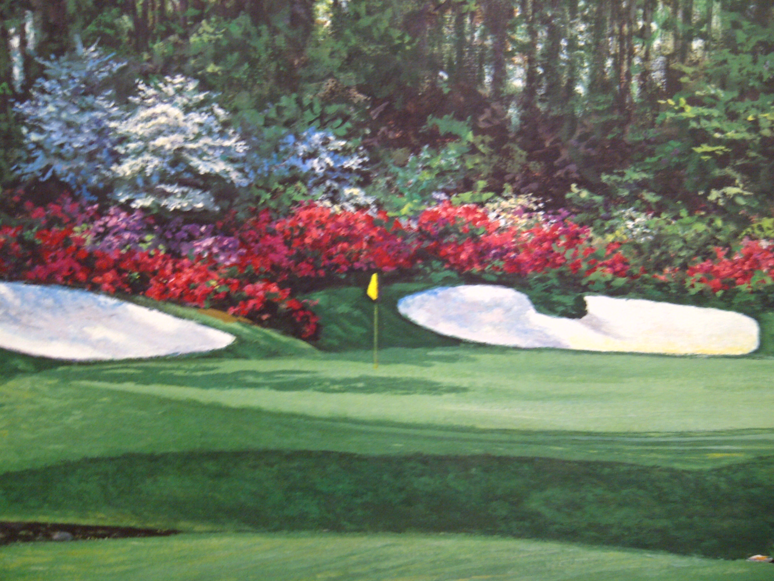 2592x1944 Larry Dyke Columbia Frame Shop - Augusta National Painting