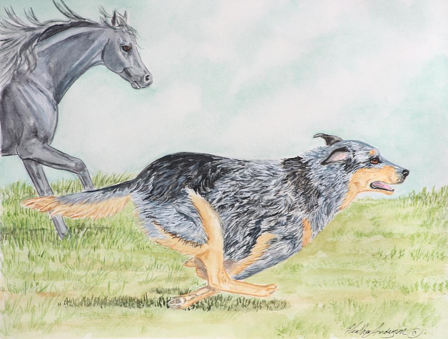 900x681 Australian Cattle Dog Painting By Heather Anderson - Australian Cattle Dog Painting