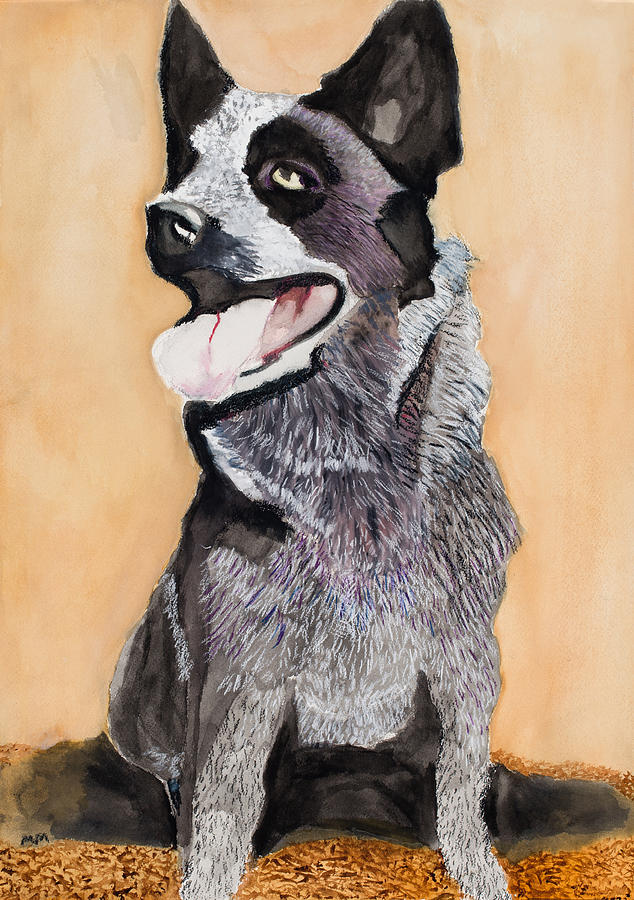 634x900 Australian Cattle Dog Painting By Marcella Morse - Australian Cattle Dog Painting