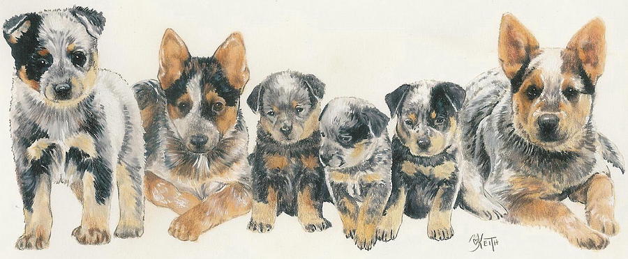 900x372 Australian Cattle Dog Puppies Mixed Media By Barbara Keith - Australian Cattle Dog Painting