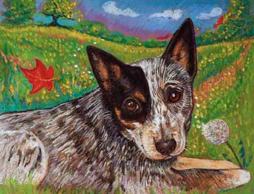 520x397 Australian Cattle Dog Art Painting Pet Portrait By Dogsinpastel - Australian Cattle Dog Painting