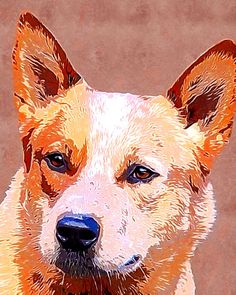236x295 Dog Paintings (And Cat And Other Animals) By Dottie Dracos - Australian Cattle Dog Painting