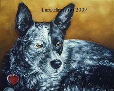 236x188 Painted Australian Cattle Dog By Amber Rose Creations Art - Australian Cattle Dog Painting