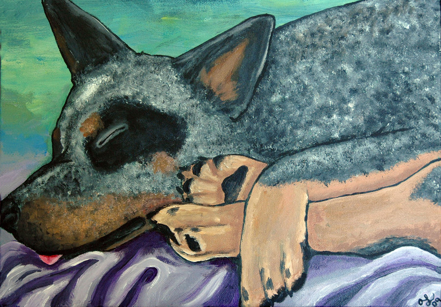 900x628 Painted Australian Cattle Dog By Amber Rose Creations - Australian Cattle Dog Painting