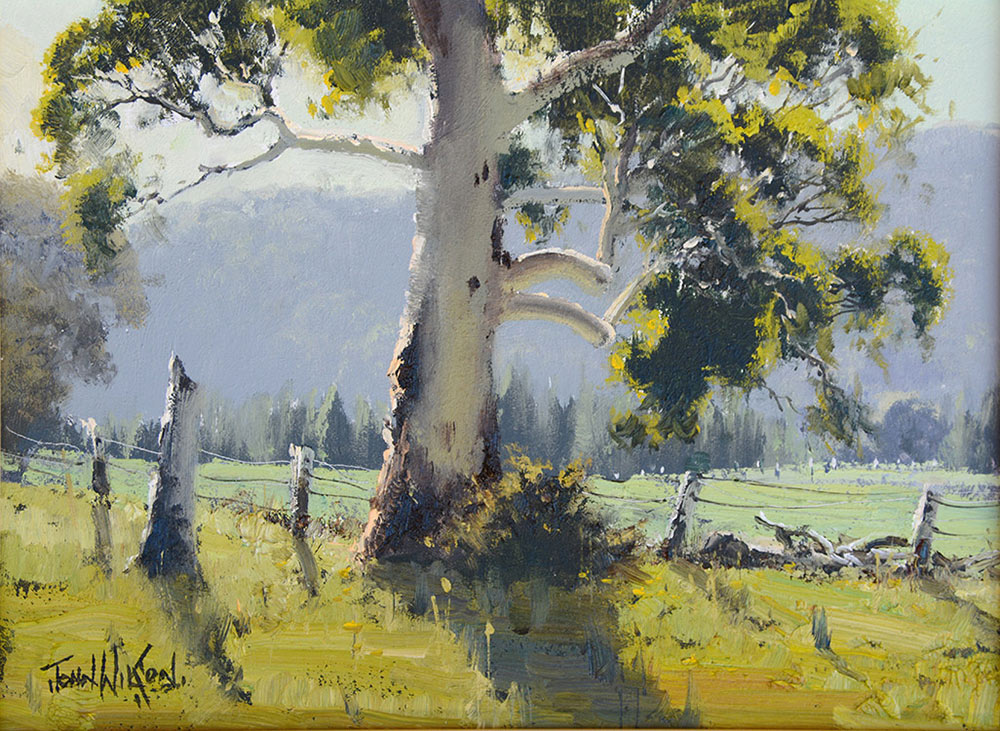 1000x731 Australian Landscape Paintings By John Wilson. - Australian Landscape Painting
