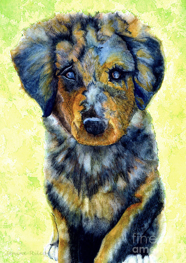 Australian Shepherd Painting at PaintingValley.com | Explore collection