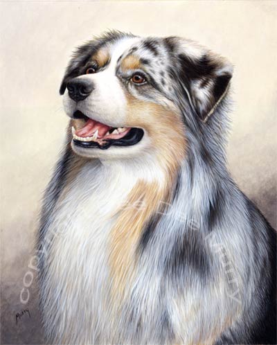 400x498 Dee Dee Murry Fine Art - Australian Shepherd Painting