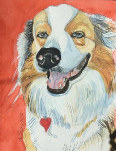 375x486 Saatchi Art Pumpkin, Dog Portrait On Watercolor Paper 120 Lb Cold - Australian Shepherd Painting